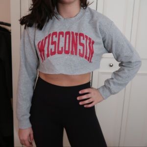 Cropped wisconsin sweatshirt